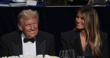 Comedian Jim Gaffigan Kills It at Charity Dinner, Smokes Kamala for Being MIA – RedState