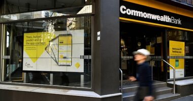 The Commonwealth Bank is now advising borrowers to ditch their hopes of a rate cut by Christmas despite a big fall in inflation
