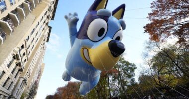 Conservatives Have a Lot of Targets to Choose From; 'Bluey' Is Not One of Them – RedState