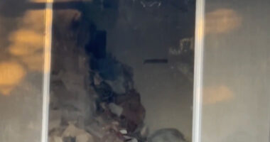 Cops Find Mummified Body on ‘Creepy’ Home’s Toilet