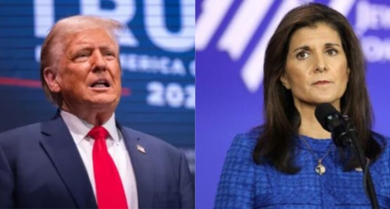 Could Nikki Haley Be an October Surprise?