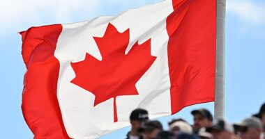 There are believed to be some 605,000 adult U.S. citizens living in Canada. Democrats are looking to engage these would-be eligible voter to help them in the 2024 election