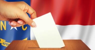 Counties Devastated by Hurricane Helene Allowed to Change Voting Plans.