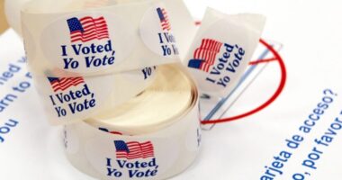 Democrats File Lawsuit to Stop Georgia From Hand-Counting Ballots.