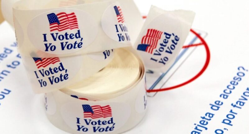 Democrats File Lawsuit to Stop Georgia From Hand-Counting Ballots.