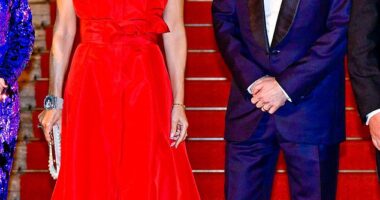 Denmark's Queen Mary and King Frederik joined the Norwegian royals and the future king and queen of Sweden for a state dinner in Berlin, Germany