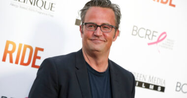 Doctor Pleads Guilty to His Role in Ketamine Death of Actor Matthew Perry