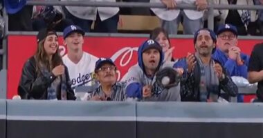 A fan caught interfered with a potential go-ahead home run from Gleyber Torres