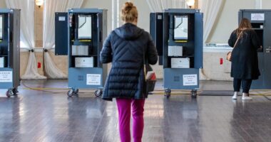 Dominion Voting Machines NATIONWIDE Are Experiencing ‘Programming Issues.’