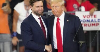 Donald Trump, JD Vance Respond Accordingly to Biden's 'Garbage' Swipe at Trump Supporters – RedState