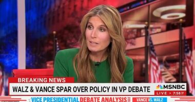 MSNBC host Nicole Wallace accused Republican VP nominee JD Vance of 'mansplaining' while talking about Kamala Harris's immigration policies in detail before the CBS News hosts moderating the debate muted his mic.