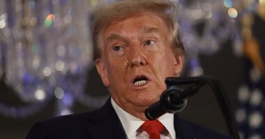 Former President Donald Trump's campaign labeled journalist and author Bob Woodward 'demented and deranged' as excerpts from his new book came to light