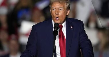 Former President Donald Trump denied being a Nazi on Monday evening