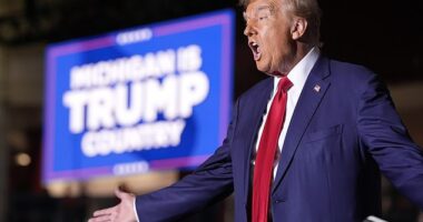 Former President Donald Trump promised Thursday that no state would be allowed to ban gas-powered cars if he is elected in November