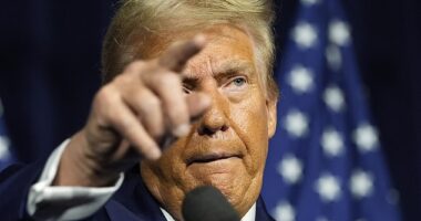 Former President Donald Trump reacted angrily to new information made public about the case against him filed by Special Counsel Jack Smith.