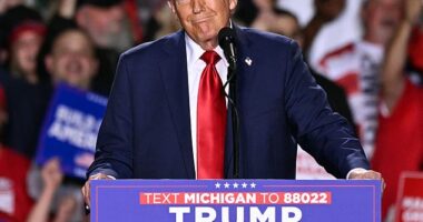 Donald Trump urged women to get their 'fat husband' off the couch and out to vote for him at a Michigan rally