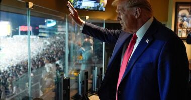 Donald Trump waved to adoring fans after arriving at the Jets-Steelers game in Pittsburgh