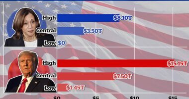 Donald Trump 's economic plans would raise the federal debt by more than double the proposal presented by Kamala Harris, a new report from the Committee for a Responsible Federal Budget has claimed