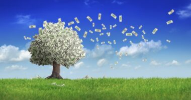 Don’t be grumpy about taking RMDs — you’ve got lots of options