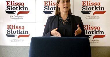 EVasive Senate Wannabe Slotkin Hits Flip Flops Out of the Ballpark – HotAir
