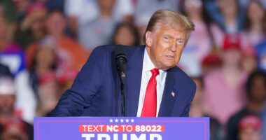 Election polls 2024 live: Allan Lichtman says he stands by prediction despite threats to his family