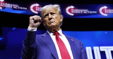 Election polls 2024 live: CNN expert predicts Trump could win popular vote as race with Harris deadlocked