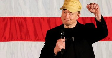 Elon Musk has found a new way to put his money to work in the election by offering $100 to registered Pennsylvania voters for signing a free speech and Second Amendment petition