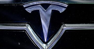 Elon Musk selects Omead Afshar to lead Tesla’s North America, Europe operations: report