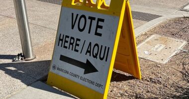 Early voting in the battleground state of Arizona is underway with voters returning mailed ballots or voting at early polling locations across the state. Voters DailyMail.com spoke to reflected just how tight the race in the battleground state is expected to be with a nearly even split for Trump and Harris