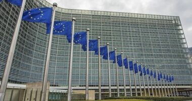 Europeans May Finally Be Trying To Speed Up Deportations