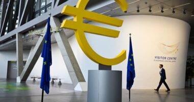 Eurozone activity contracts again in October, S&P PMI surveys suggest