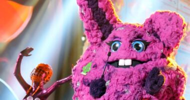 Everything You Need To Know Tonight's Episode of ‘The Masked Singer’