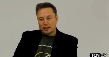 Federalist Sparks Musk Probe Of Harris Campaign X Manipulation