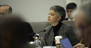 Fed’s Collins sees risk of economy slowing ‘beyond what is needed’