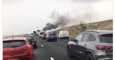 Five people including two children have been killed in a horrific motorway crash with a third youngster rushed to hospital. This image is taken by a driver on the road as smoke can be seen billowing from the crash site