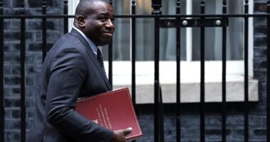 David Lammy arrives at 10 Downing Street for a cabinet meeting in London on October 15