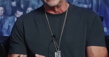 Former mafia boss Michael Franzese (pictured) has discussed being locked up alongside Erik and Lyle Menendez