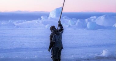 From Icebergs to Inuit Culture: Highlights of Greenland Expeditions