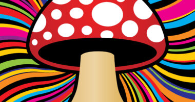 From mortgage fraud to magic mushrooms: Inside the mysterious world of Shaman Shu