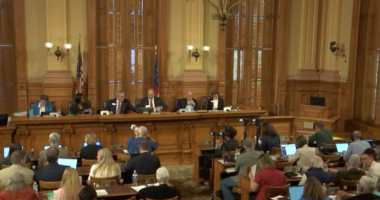 Georgia State Election Board