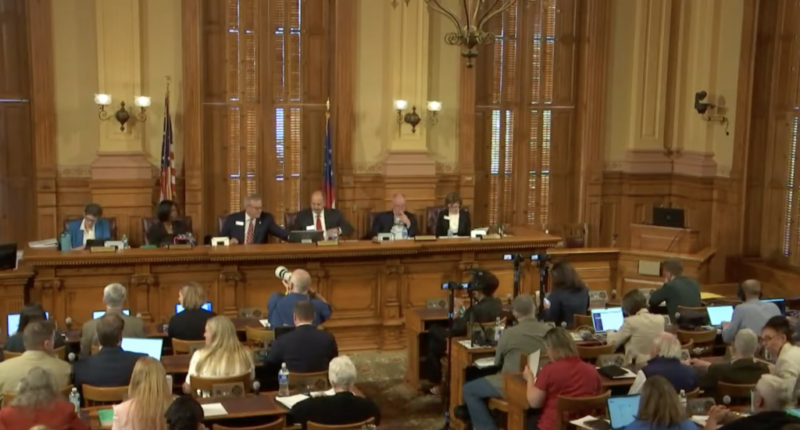 Georgia State Election Board