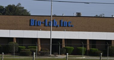 BioLab Testimony Kenny Johnson Passes Away Georgia County Soil Water Supervisor