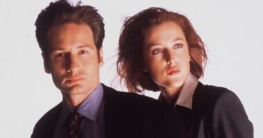 Gillian Anderson says being ‘basically married’ to David Duchovny created a ‘complex relationship’