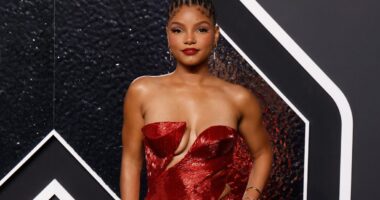 Fans Speculate Halle Bailey Will Address DDG Split After Teasing THESE Lyrics From New Song