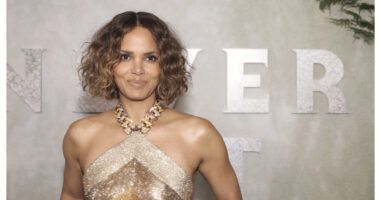 Halle Berry Addresses Billy Bob Thornton Rumor in Podcast