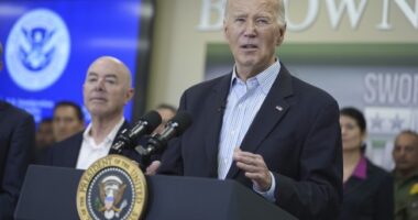 Harris-Biden Admin Turned FEMA Into a DEI Experiment – and Hurricane Victims Are Suffering for It – RedState
