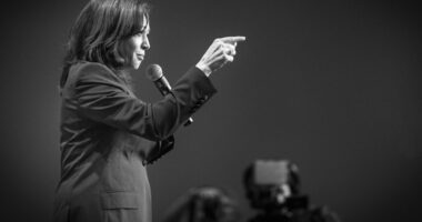 Harris' Favorability Plummets Two Weeks Before Election Day