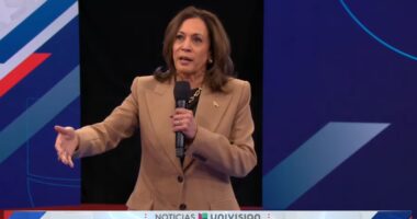 Harris Ignores Free Speech, Gun Rights In Rant About Constitution