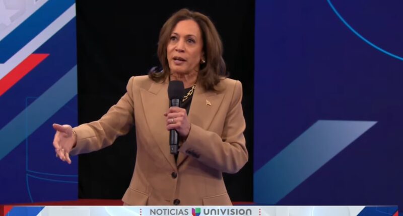 Harris Ignores Free Speech, Gun Rights In Rant About Constitution