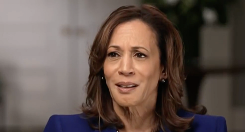 Harris Stands By Big Lie That Biden Is ‘Capable’ Of The Presidency